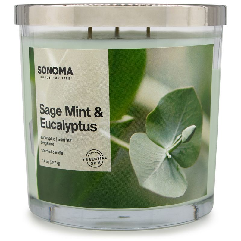 Sonoma Goods For Life Sage Mint & Eucalyptus 14-oz. Candle Jar, Green