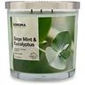 Sonoma Goods For Life® Eucalyptus & Mint Leaf 14-oz. Candle Jar