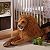 melissa and doug lion plush