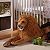 melissa and doug plush lion