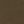 Black Olive