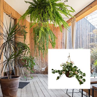Nature Spring Artificial Geranium Plant Hanging Wall Decor
