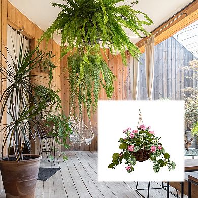 Nature Spring Artificial Geranium Plant Hanging Wall Decor