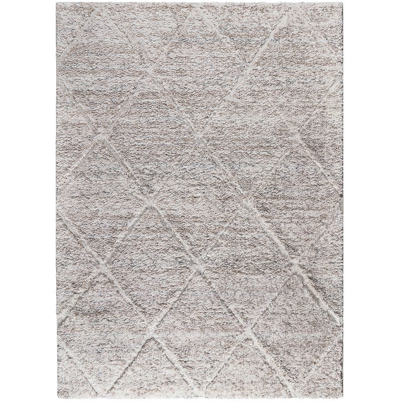 Madison Park Sophia Talas Trellis Woven Plush Shag Area Rug, White, 8X10 Ft