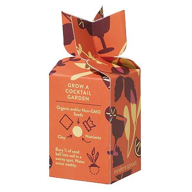 Modern Sprout Seed Bomb - Grow Good Times