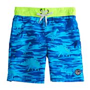 Boys 4-8 ZeroXposur Swim Shorts