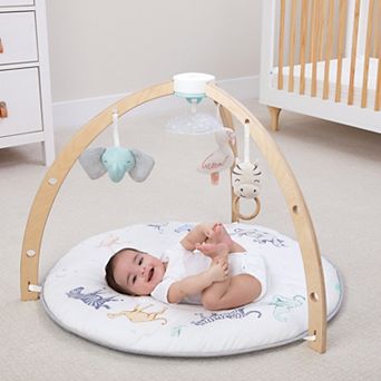 aden + anais Baby Activity Gym