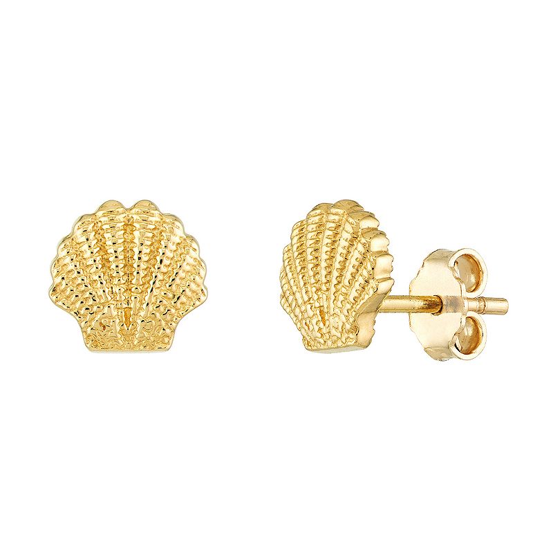 14k Gold Seashell Stud Earrings, Womens