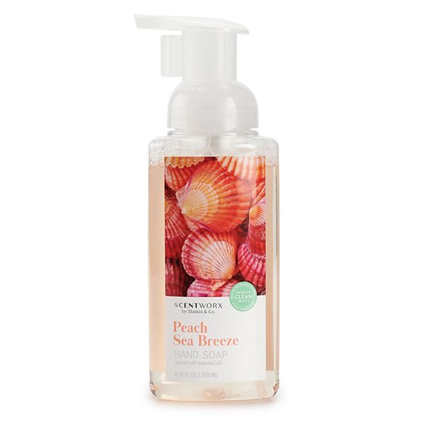 ScentWorx by Slatkin & Co. Hot Apple Cider Foaming Hand Soap