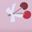 Cherry Bows