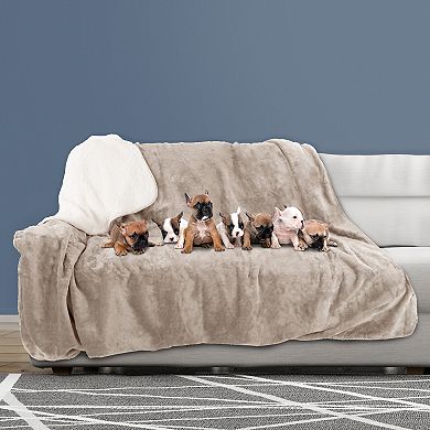 Pet Adobe Waterproof 60" x 70" 230 GSM Sherpa Pet Throw Blanket