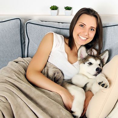 Pet Adobe Waterproof 60" x 70" 230 GSM Sherpa Pet Throw Blanket