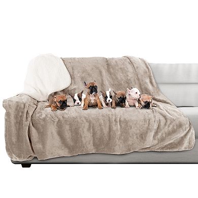 Pet Adobe Waterproof 60" x 70" 230 GSM Sherpa Pet Throw Blanket