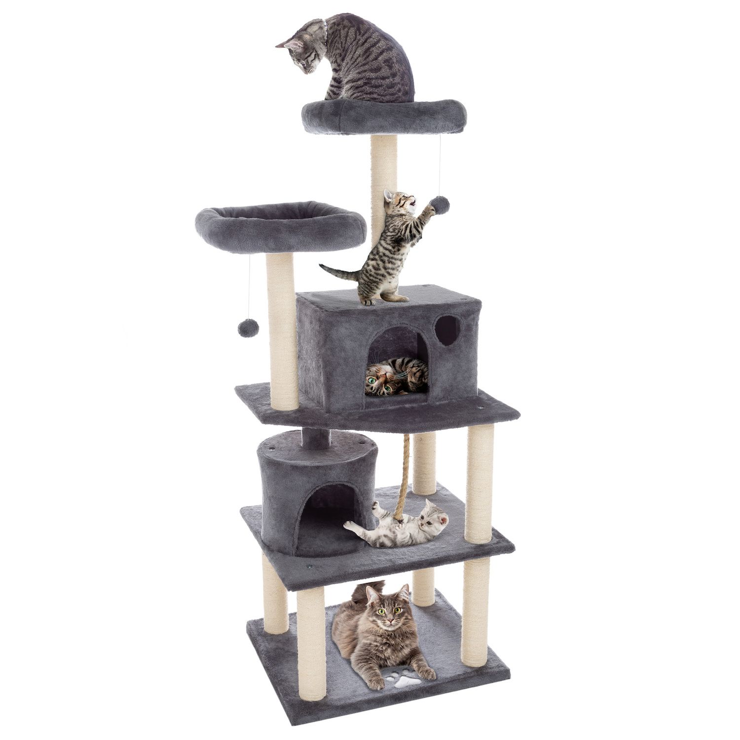 Cat Trees Kohl s
