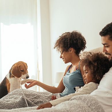 Pet Adobe 3-Step Wood Folding Pet Stairs