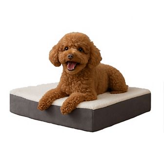 Pet Adobe Orthopedic Foam Pet Bed - 20 x 15