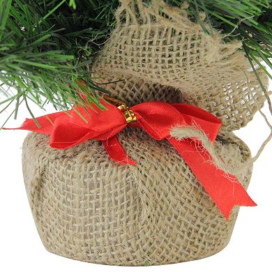 Northlight 18" Mini Pine Medium Artificial Christmas Tree in Burlap Base