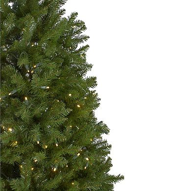 Northlight Pre-Lit Full Artificial Christmas Tree with Warm Clear LED Lights