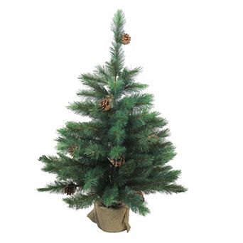 Northlight 3-ft. Unlit Potted Royal Oregon Pine Burlap Base Full Artificial Christmas Tree