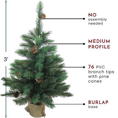 Northlight 3-ft. Unlit Potted Royal Oregon Pine Burlap Base Full Artificial Christmas Tree