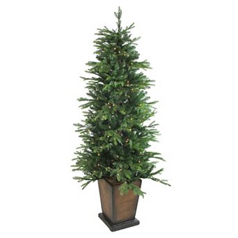 Northlight 6-ft. Pre-Lit Potted Artificial Pine Christmas Tree