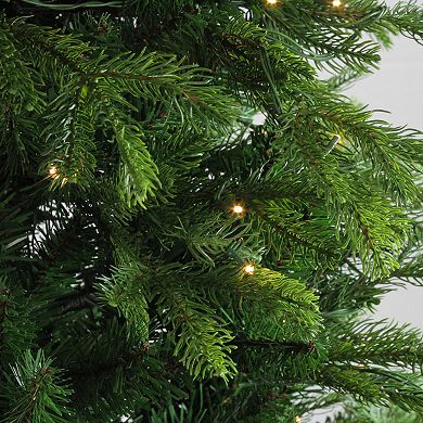 Northlight 6-ft. Pre-Lit Potted Artificial Pine Christmas Tree