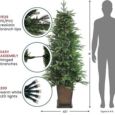 Northlight 6-ft. Pre-Lit Potted Artificial Pine Christmas Tree