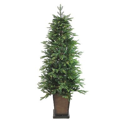Northlight 6-ft. Pre-Lit Potted Artificial Pine Christmas Tree