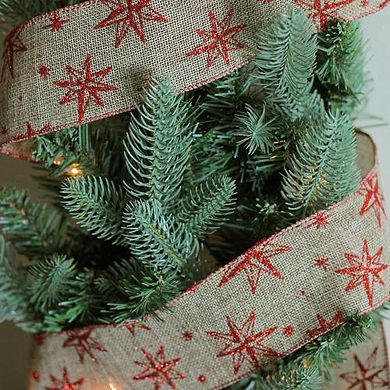 Northlight Star Wired Christmas Craft Ribbon