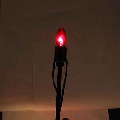 Northlight Red, Clear and Green 15-Piece C9 Christmas Light Stakes