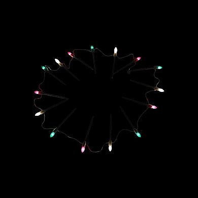 Northlight Red, Clear and Green 15-Piece C9 Christmas Light Stakes