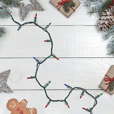 Northlight Multi-Color Mini Christmas String Lights