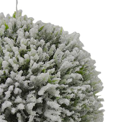 Northlight 6" White and Green Frosted Pine Christmas Ornament