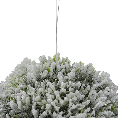 Northlight 6" White and Green Frosted Pine Christmas Ornament