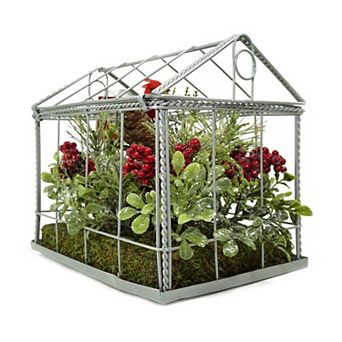 Northlight 9 in Red & Green Cardinal Boxwood Artificial Christmas Greenhouse Arrangement