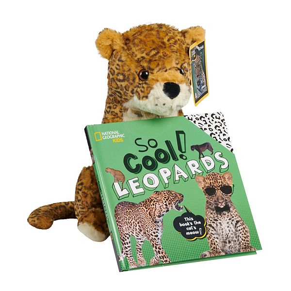 Kohls books with stuffed animals on sale