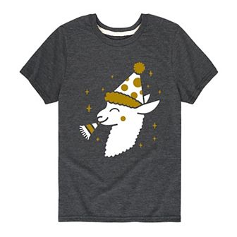 Boys 8-20 Llama With Party Hat Graphic Tee