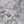 Ivory Gray