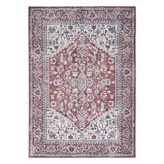 Nourison New Concept Machine Washable Medallion Indoor Area Rug