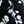 Black Ber Floral
