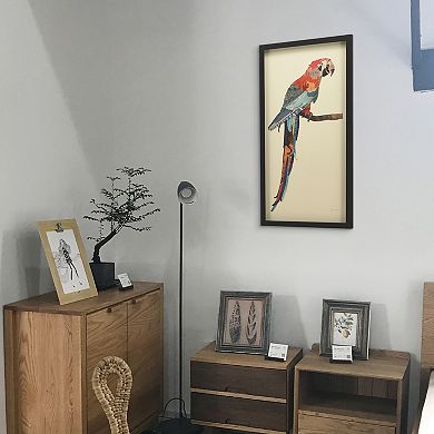 Tropical Parrot Collage Framed Graphic Wall Art