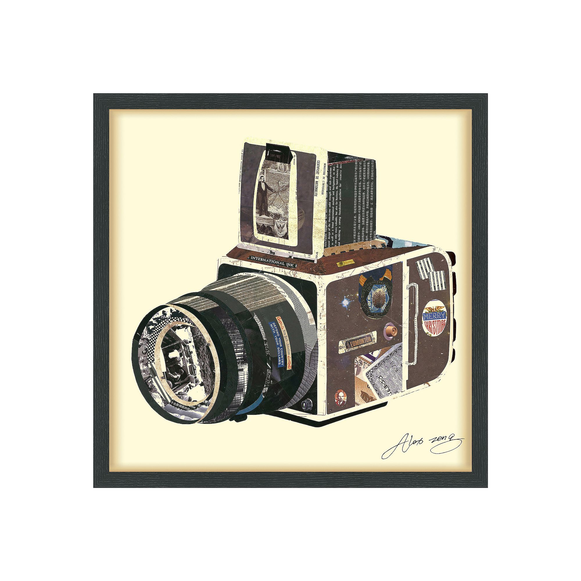 SLR Camera Collage Framed Graphic Wall Art, Multi