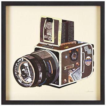 SLR Camera Collage Framed Graphic Wall Art