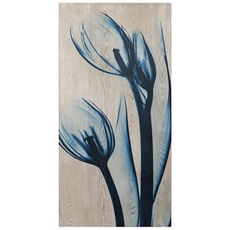 Blue Tulips Fine Radiographic Photography Hi Definition Wall Art