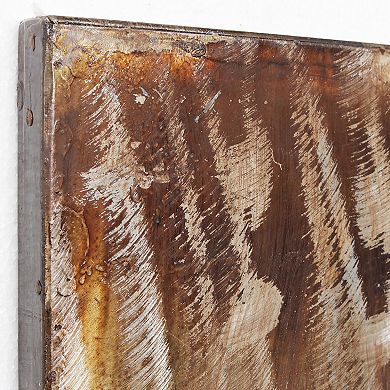 Buffalo Mixed Media Iron Dimensional Wall Art