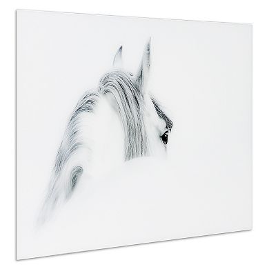 Blanco Mare Horse Frameless Free Floating Tempered Glass Panel Graphic Wall Art