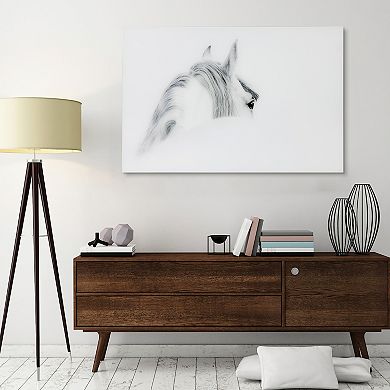 Blanco Mare Horse Frameless Free Floating Tempered Glass Panel Graphic Wall Art