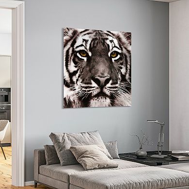 Empire Art Direct Eye of the Tiger Glass Wall Art
