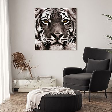 Empire Art Direct Eye of the Tiger Glass Wall Art