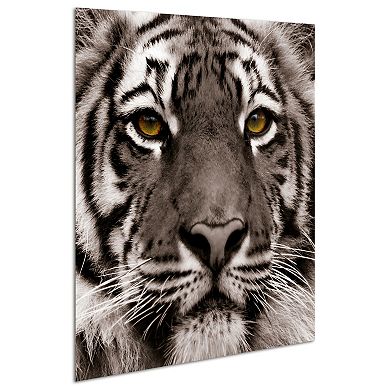 Empire Art Direct Eye of the Tiger Glass Wall Art